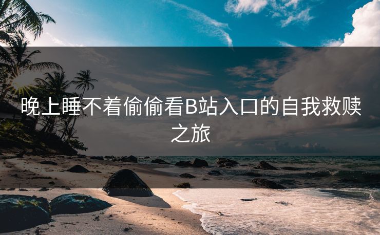 晚上睡不着偷偷看B站入口的自我救赎之旅