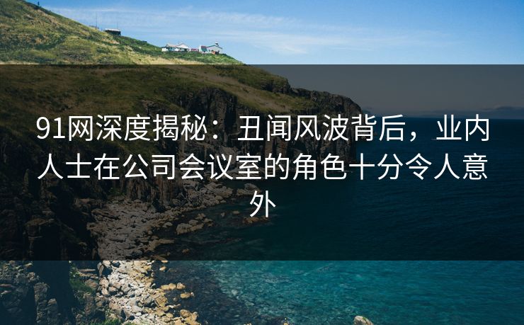 91网深度揭秘：丑闻风波背后，业内人士在公司会议室的角色十分令人意外